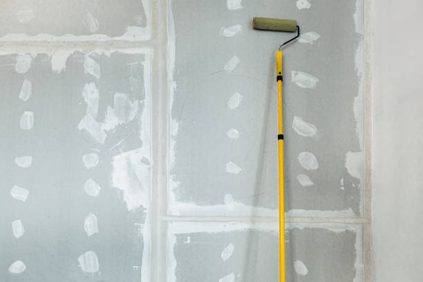 Best Drywall Crack Repair  in Oak Hill, FL