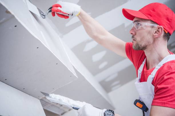 Best Water-Damaged Drywall Repair  in Oak Hill, FL